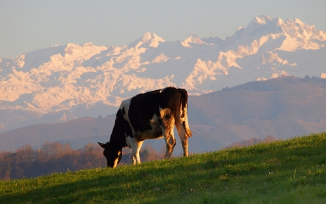 Views from one of our holiday properties: AT23